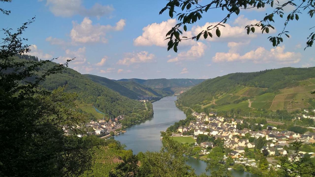 شقة Mosel Ausblick زيل ان دير موسل المظهر الخارجي الصورة